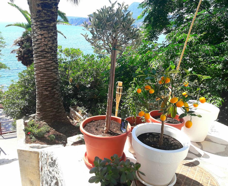 Two Palms Apartment Sutomore Luaran gambar